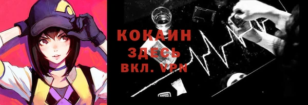 дживик Абинск