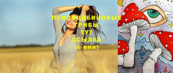 дживик Абинск