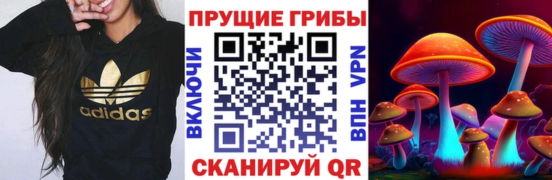 Галлюциногенные грибы мицелий hydra зеркало Слюдянка